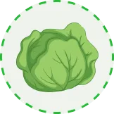 為您呈現最前沿的體育資訊 - kaiyun
